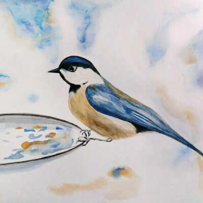 Melinda Allen - Bird Bath - AWE Open Studios