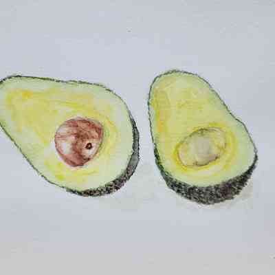 Viamonte - Maya Lawrence - Avocado