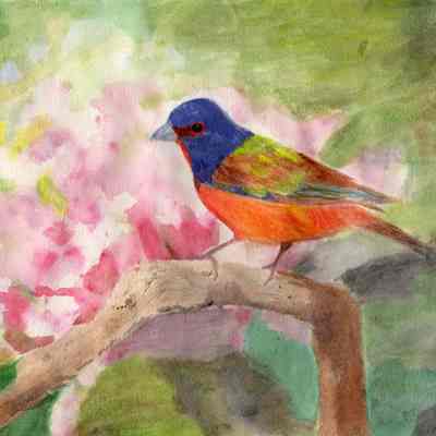 On Lok Peralta - Sr. Andrea Rangel - Delightful