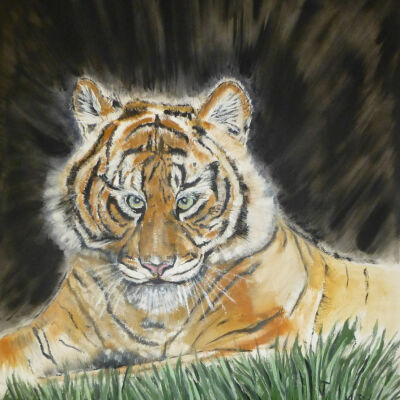 Jerry Lash - Bengal Tiger - Open Studio