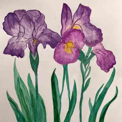 VVFC - Kim Mak - Violet Flowers