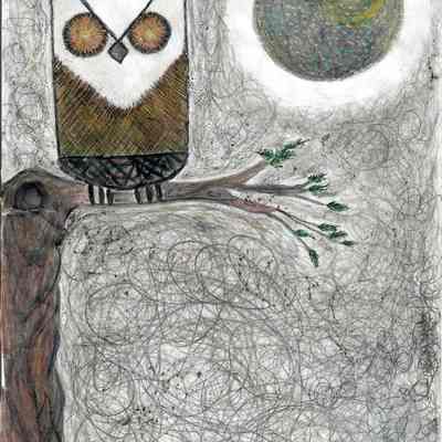 Envelop night owl with Dark Moon - Pearl Pooner - Mission Plaza