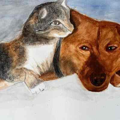 Carlisle - Aurora Gamboa-Spikol - The Friends