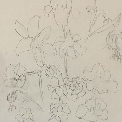 Sandy Jones - Floral Study - Coventry Senior Center