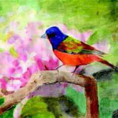 On Lok Lifeways Peralta Sr. Andrea Rangel Delightful