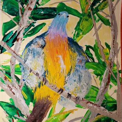 Carol Martin - Bird Family