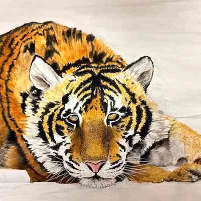 Joan Diblin - Tiger - The Sequoias