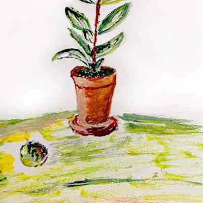 OH - Kered Whitcraft - Plant Life