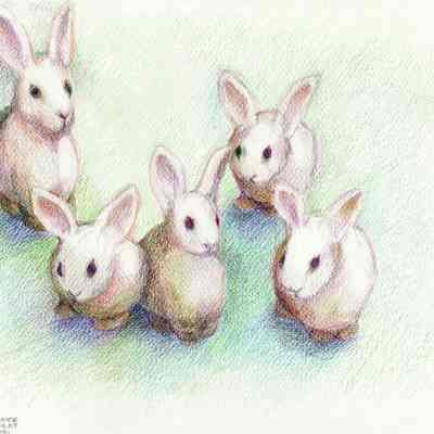 Eunice Childs - Bunnies - SF Towers