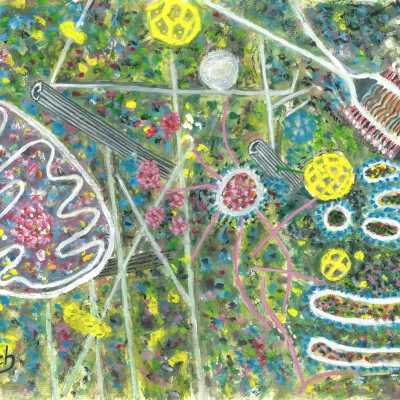 Keith Baillie - EukaryoticCellxsection - Openhouse