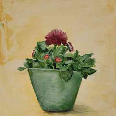 Jones Senior Homes - Lisa Kim - Flower in a Pot - Selected