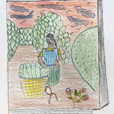 OL 30th - Ursa Valdez - Harvesting Nopales