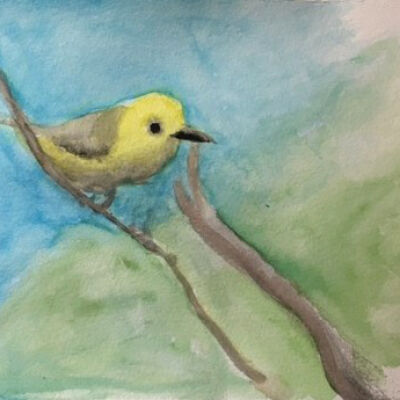 Alice Gibbons - Yellow Finch - Western Park Apts
