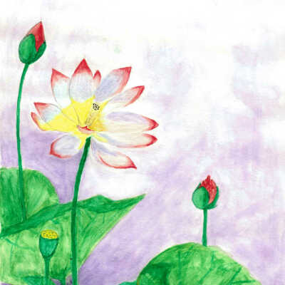 Qing Ho - Lotus Flower - On Lok Gee Center