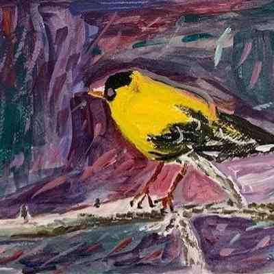 On Lok Peralta - Bhagat Syshih - Gold Finch