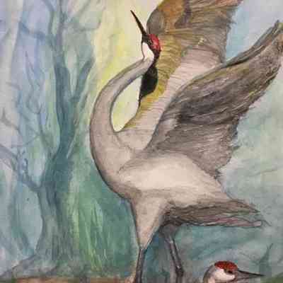 On Lok 30th Fri - Joyce Lashley - Sand Hill Cranes 15x11 - Acrylic on Paper