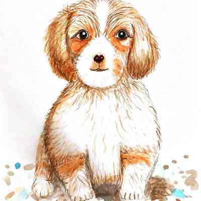 OLG - Sandy Fong - Cute Doggie