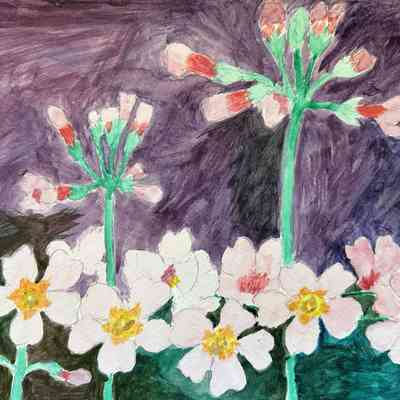 On Lok San Jose - Lu Yi - Flower Blooming in Prosperity - wc - Selected
