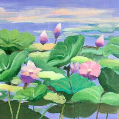 Insio Che - Waterlilies