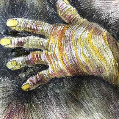 AWE Open Studios - Dolores Smiller - Hand, Exquisite Corpse Project