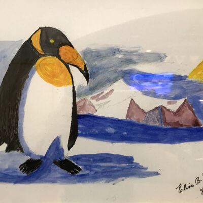 Elisa Benedicto - Penguin - Curry Senior Center