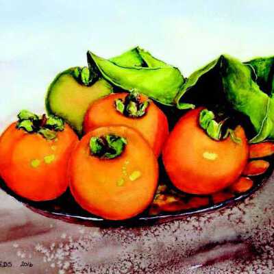 Lytton Gardens - Virginia Deeds - Persimmons in Autumn