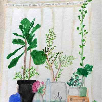 AOST - Margaret Bacon - A Room in Brooklyn