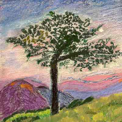 Sarah Armstrong – Jefferey Pine on Taft Point - Western Park Apartments
