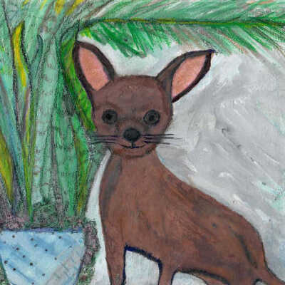 Pearl Pooner - Katchum Nelley's Imaginary Puppy - Mission Plaza Apts.