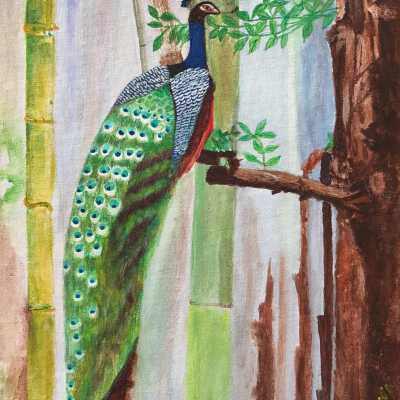 Mary Woo - Peacock - Western Park Apartments