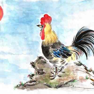 OLG - Ying Shao Chen - Rooster