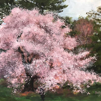 Betty Rothaus - Flowering Almond Herald of Tu b Shevat And the Spring in Israel - The Reutlinger Community