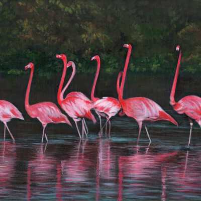 Western Park Apartments - Yu Mei Lu - Flamingos - 2019