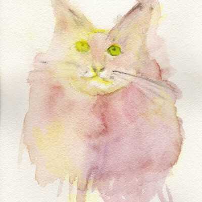 Carlisle - Jayne Ross Matsuda - Tomcat - 2019