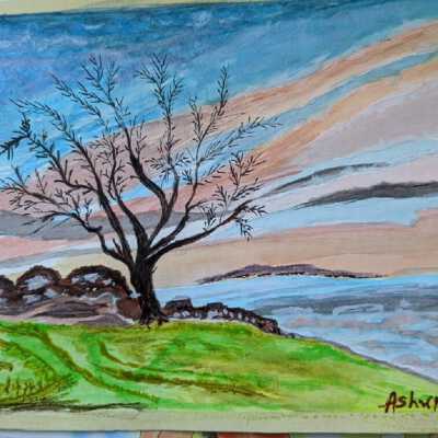 On Lok Peralta- Ashwin Sheth- #6