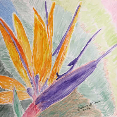 Sat. Open Studio- Susan McCown- Bird of Paradise