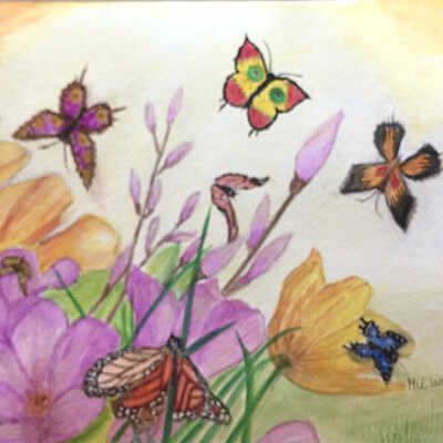 Oak Center Towers-- Hui Lan Li- Dancing like butterflies
