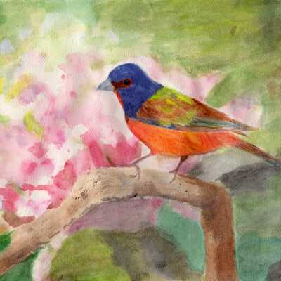 On Lok Peralta - Sr. Andrea Rangel - Delightful - 2019