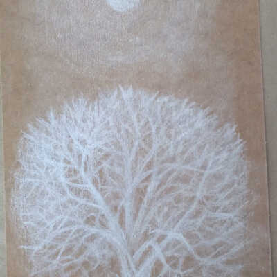 Western Park- Chieko Lafferty- White Tree