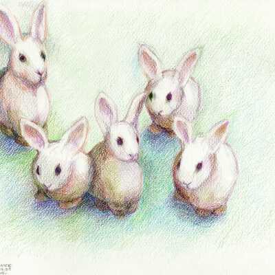 SF Towers - Eunice Childs - Bunnies - 2019