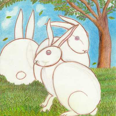 Mission Neighborhood Center - Blanca Perez - Conejos (Rabbit) - 2019