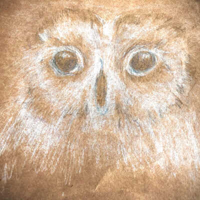 MARGARET MARY MILLER- Owl - Belmont Village Albany