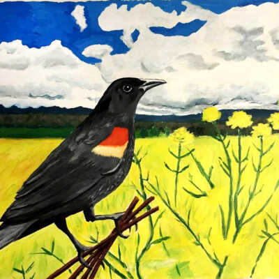 13 Darcie O'Brien - Art With Elders Artist Instructor