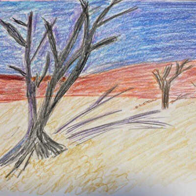 SARAH ARMSTRONG- Desert Tree - Belmont Village Albany