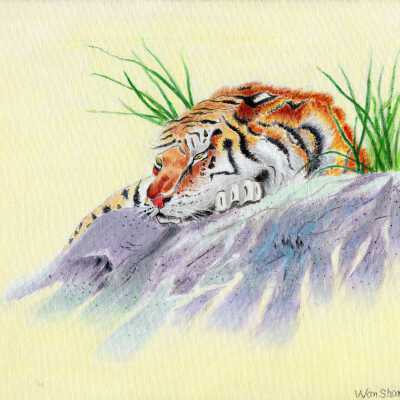 Oak Center Towers - Wan Shan Ning - Master Tiger - 2018