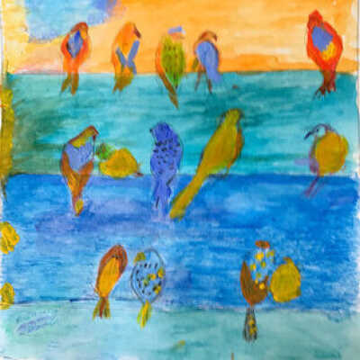 PAULA TSCHIDA- Birds- Open Studios