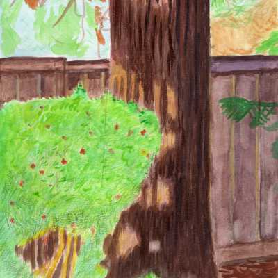 Belmont Village - Sarah Armstrong - Backyard Gardener - 2018