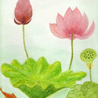 On Lok Gee Center - Sandy Fong - Playful in Lotus Garden - 2019