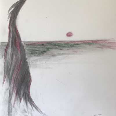 The Reutlinger Community- Clarence Crew- Bird on Ocean