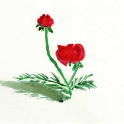 Oakwood Atherton - Sr. Lilian Conaghan - Sing of Spring - 2019